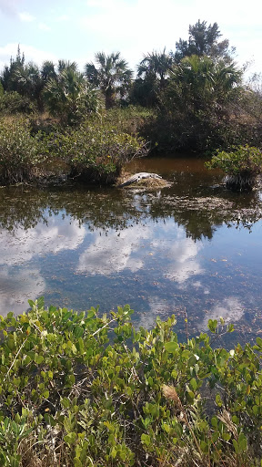 Community Center «Campbell Community Center», reviews and photos, 701 South St, Titusville, FL 32780, USA