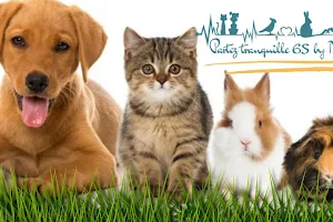 Partez Tranquille 65 by Nat : garde familiale d'animaux et éducateur Comportementaliste Canin image