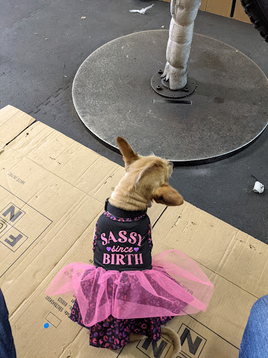 Bicycle Store «Houston Cycling Centres Southwest», reviews and photos, 6607 S Braeswood Blvd, Houston, TX 77096, USA