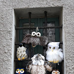 Photo n°15 de l'avis de Giovanna. fait le 27/07/2020 à 16:33 sur le  Calamecca à Calamecca