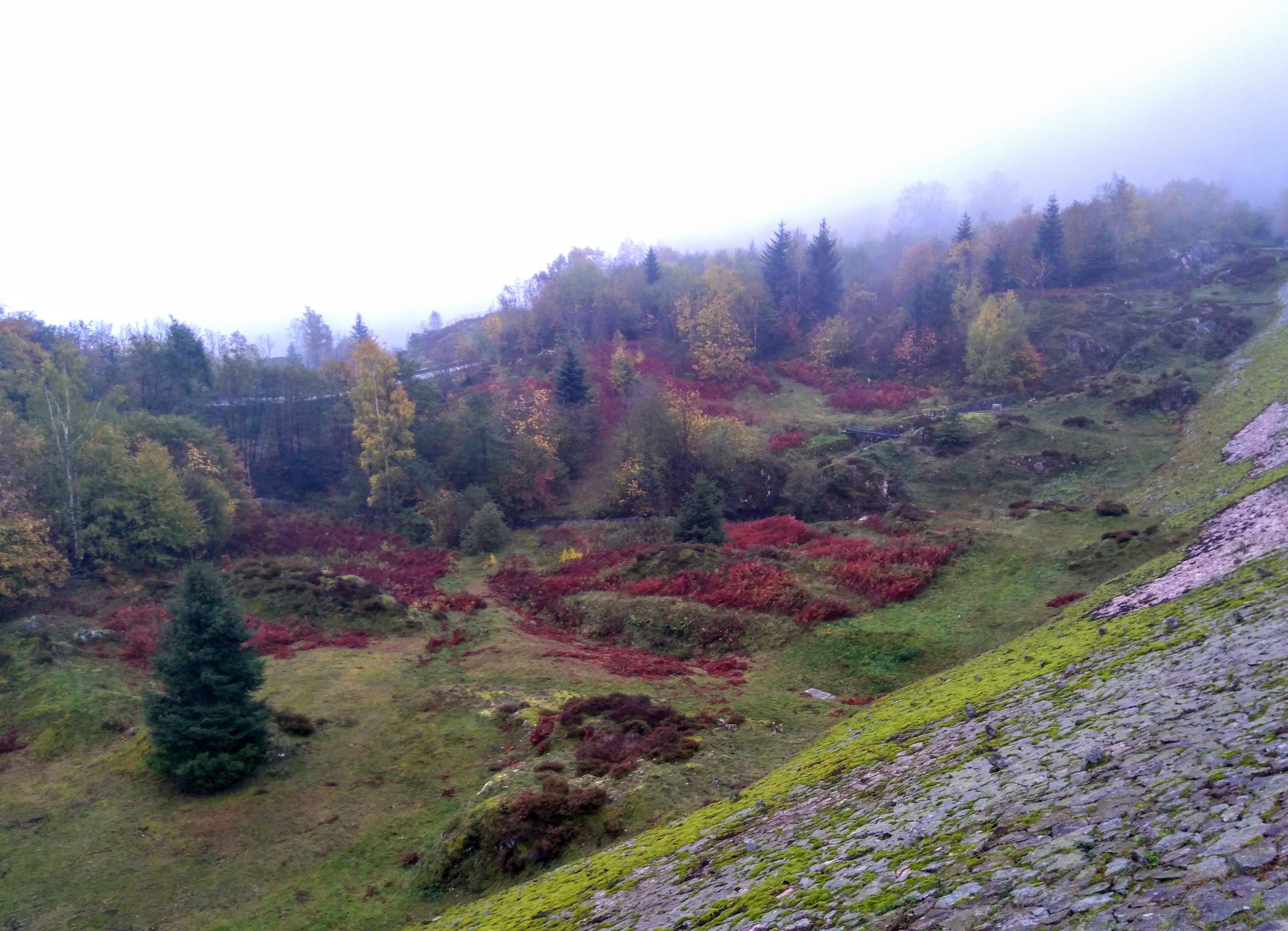 Photo n° 2 de l'avis de Anna.e fait le 02/11/2019 à 06:52