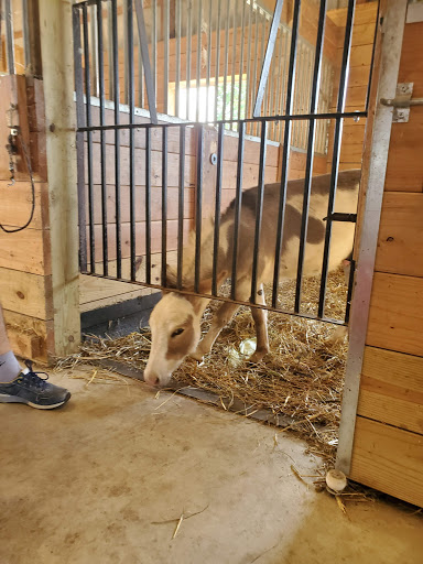 Farm «Kellers Farmstand», reviews and photos, 2500 Johnson Rd, Oswego, IL 60543, USA