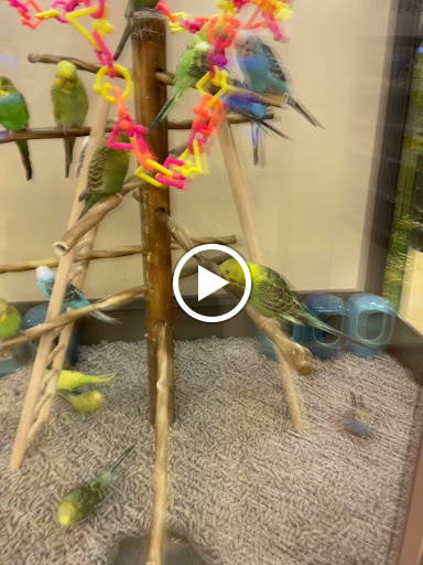 Pet Supply Store «Petco Animal Supplies», reviews and photos, 860 Broadway, New York, NY 10003, USA