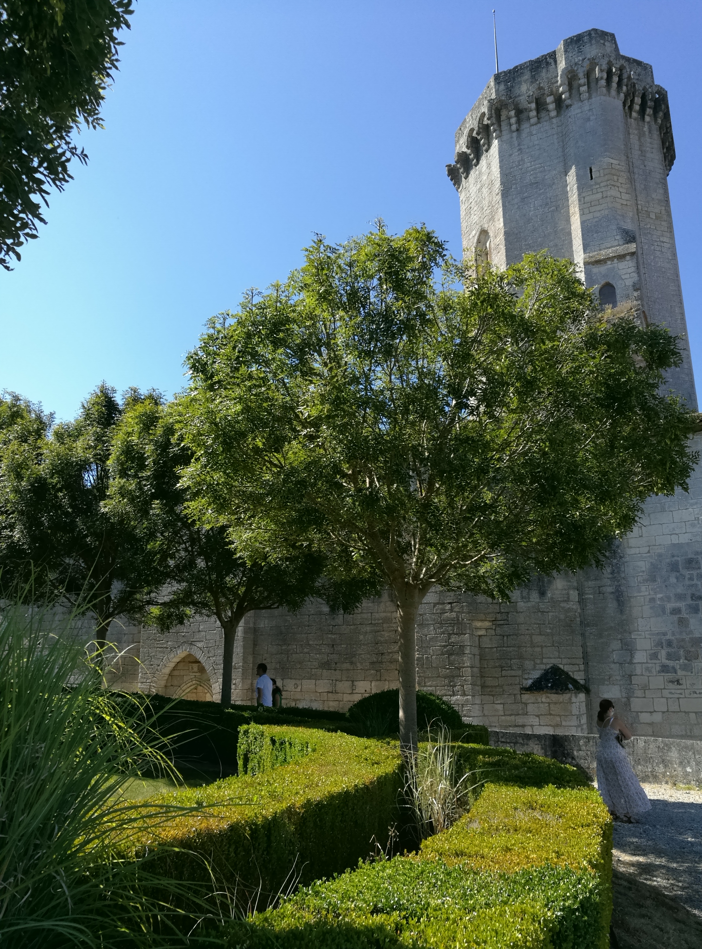 Photo n° 11 de l'avis de Dominique.A fait le 30/07/2020 à 11:52