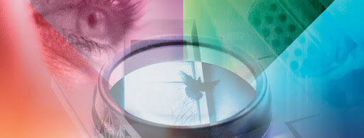 4420 Metric Dr # D, Winter Park, FL 32792, USA