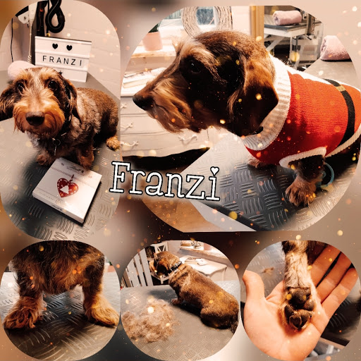 Hundesalon•Die Hundeputzerei• unter Hanstedt, 