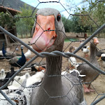 Photo n°2 de l'avis de Massimiliano.a fait le 09/09/2018 à 13:51 sur le  Il Feudo di Oliveri à Oliveri