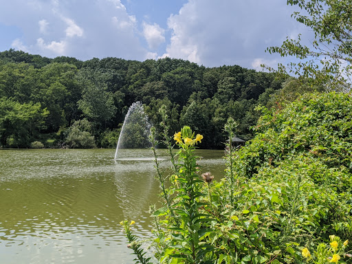 Park «Clove Lakes Park», reviews and photos, 1150 Clove Rd, Staten Island, NY 10301, USA