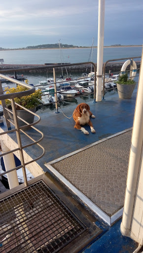 Clínica Veterinaria Pedreña en Pedreña