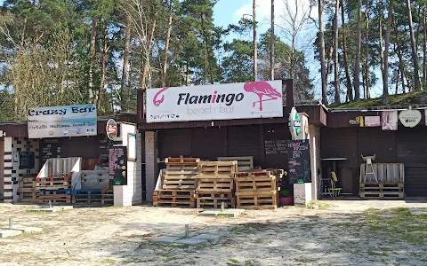 Flamingo beach image
