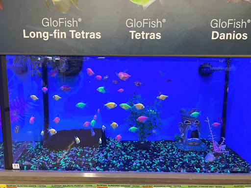 Pet Supply Store «Pet Supplies Plus», reviews and photos, 175 Memorial Ave, West Springfield, MA 01089, USA