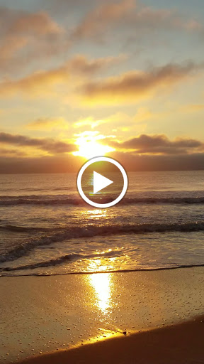 Pet Supply Store «Outer Barks - Water Front Shops», reviews and photos, 1240 Duck Rd, Duck, NC 27949, USA