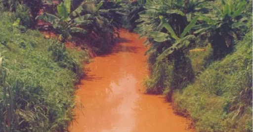 Benin City Moat, Edo State, Use, Benin City, Nigeria, Park, state Edo