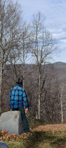 Tourist Attraction «The Gorge - A Zipline Canopy Tour», reviews and photos, 166 Honey Bee Dr, Saluda, NC 28773, USA