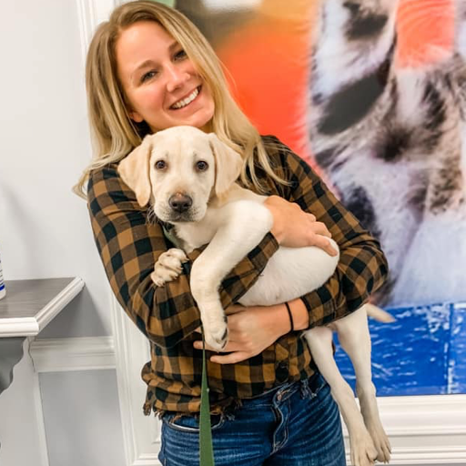 Summerville Pet Clinic image