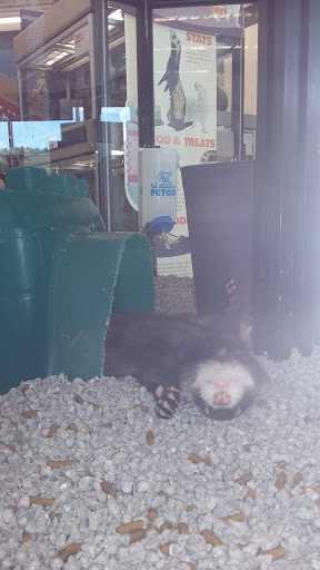Pet Supply Store «Petco Animal Supplies», reviews and photos, 1049 S Willow St, Manchester, NH 03103, USA