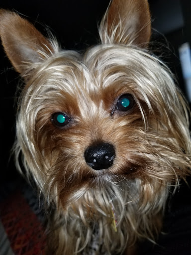 Pet Supply Store «Animal House», reviews and photos, 1509 S Black Horse Pike, Williamstown, NJ 08094, USA