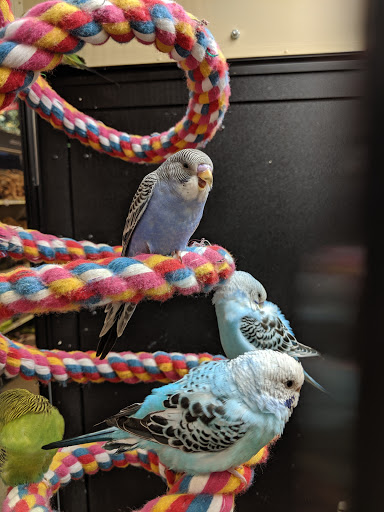 Pet Supply Store «PetSmart», reviews and photos, 4142 Commonwealth Ave, Eau Claire, WI 54701, USA