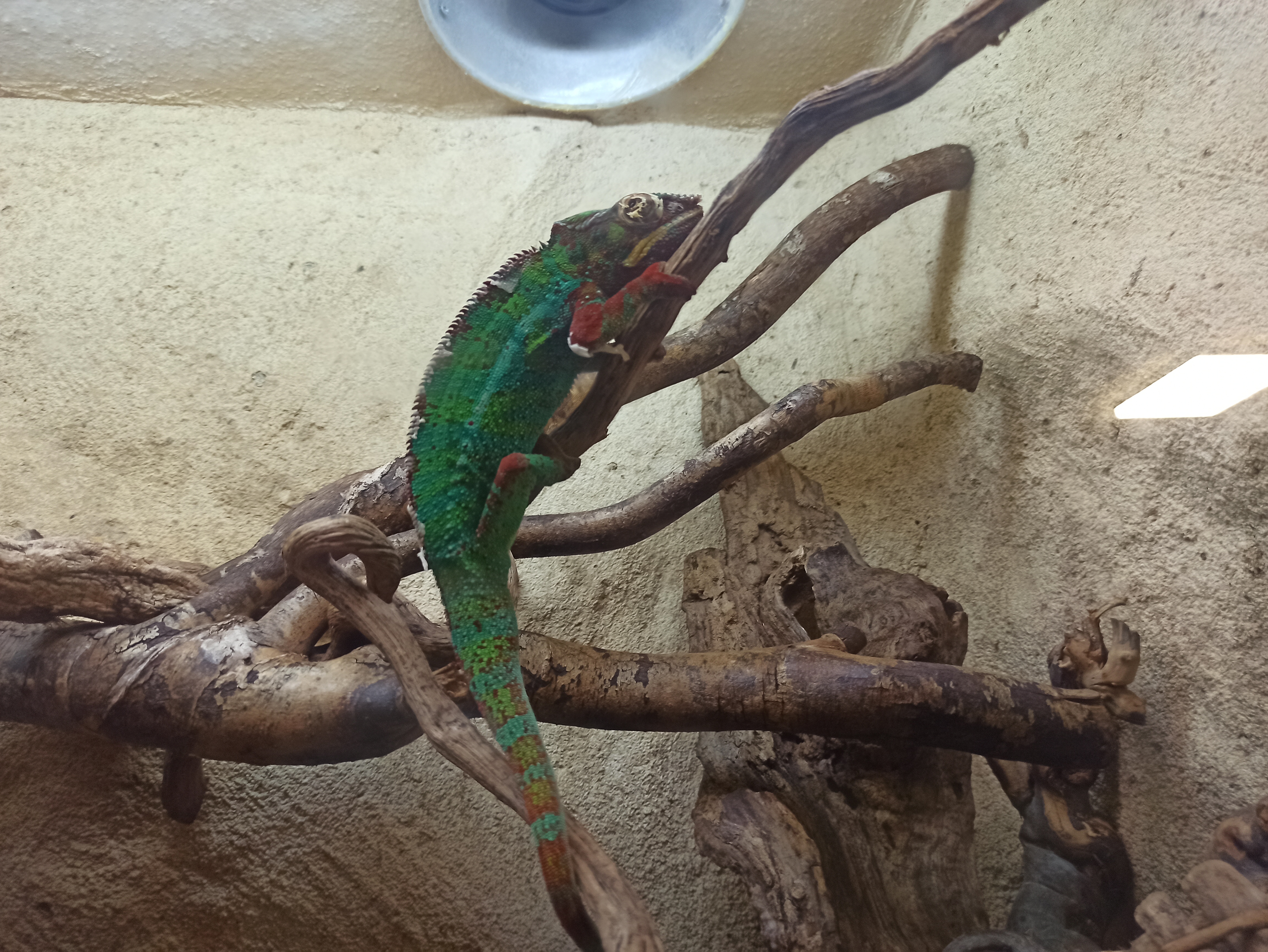 Photo n° 4 de l'avis de Thierry.e fait le 10/07/2023 à 16:02