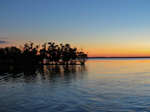 Tour Agency «Everglades National Park Boat Tours», reviews and photos