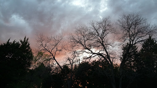 Park «Gateway Park», reviews and photos, 2500 N Jim Miller Rd, Dallas, TX 75227, USA