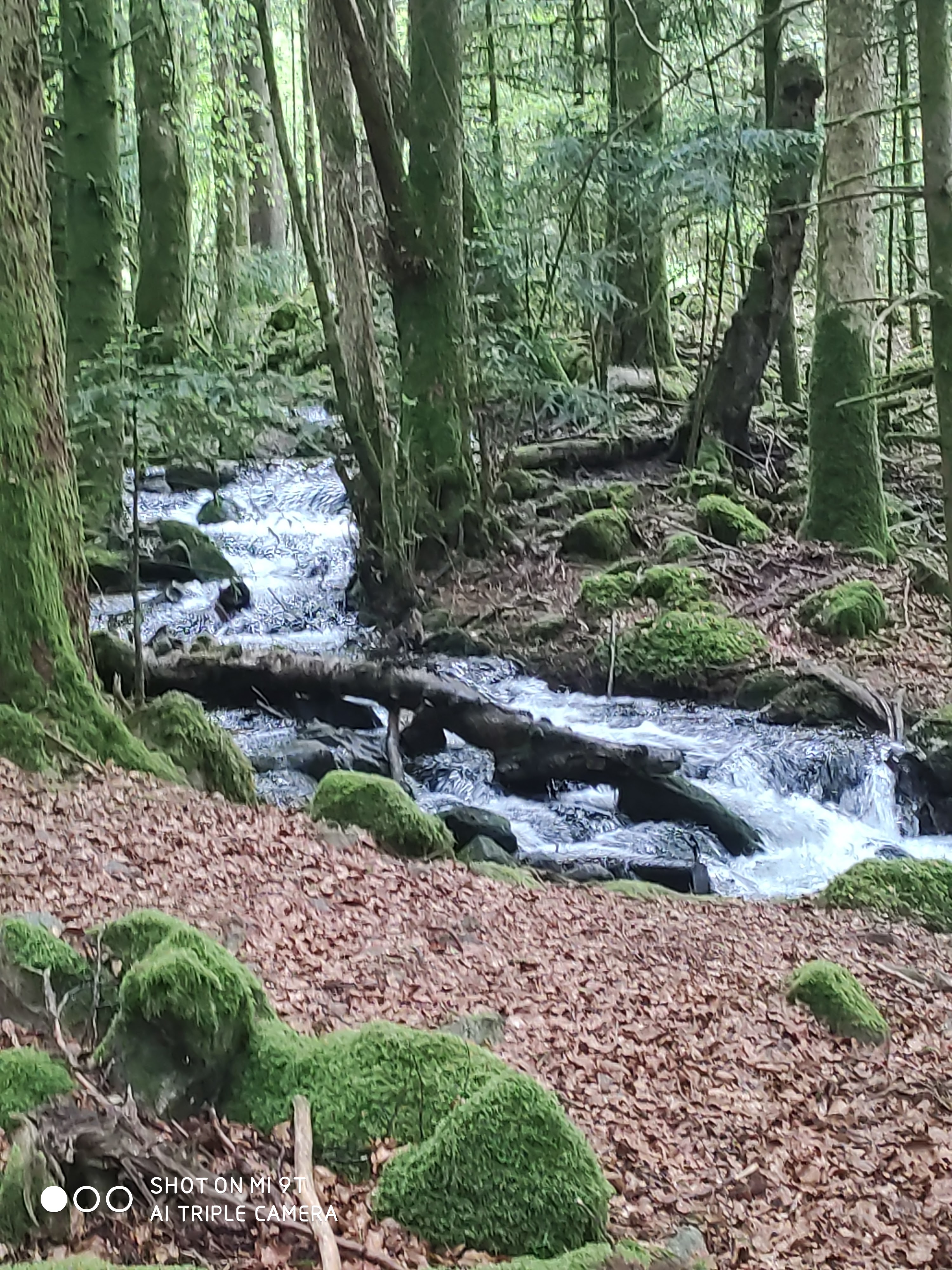 Photo n° 3 de l'avis de Sébastien.U fait le 24/05/2021 à 19:24