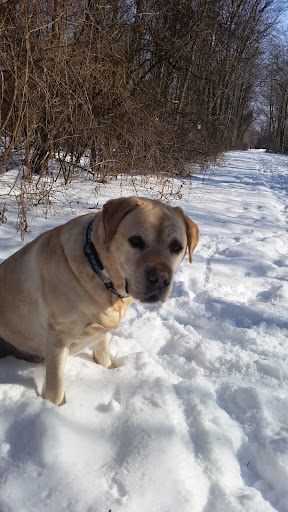 Park «Algonac State Park», reviews and photos, 8732 N River Rd, Marine City, MI 48039, USA