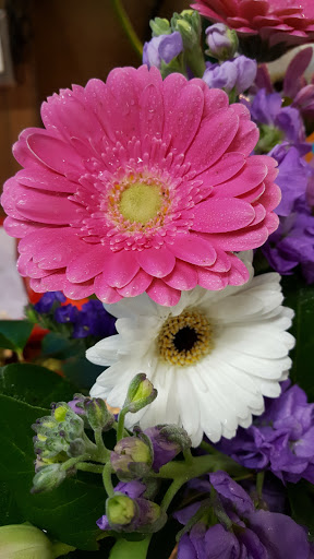 Florist «Cool Florist and Gifts», reviews and photos, 2968 CA-49 i, Cool, CA 95614, USA