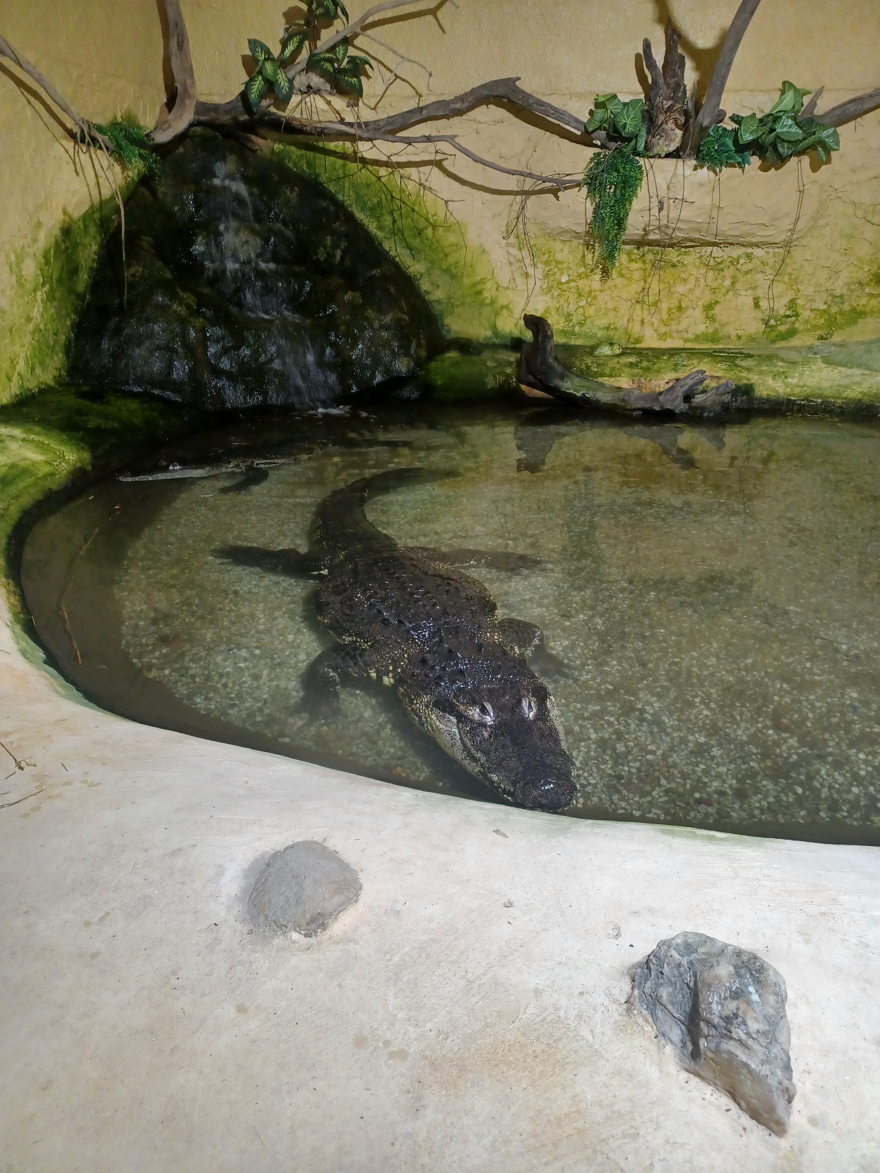 Photo n° 8 de l'avis de Christi. fait le 19/07/2023 à 14:00