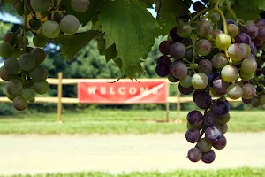 Bellview Winery image