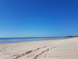 Zdjęcie Flinders Beach z powierzchnią turkusowa czysta woda