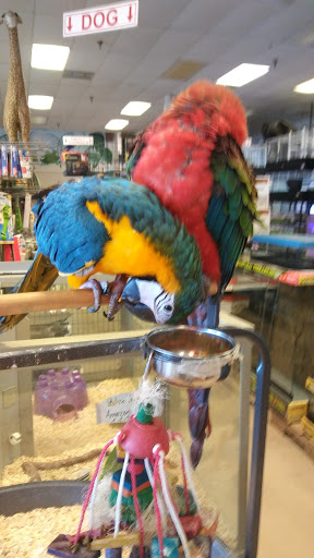 Shopping Mall «Sunshine Park Mall», reviews and photos, 2400 S Ridgewood Ave, South Daytona, FL 32119, USA