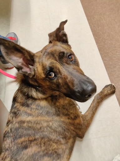 Muller Veterinary Hospital image