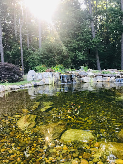 Nature's Turf Lawns, Ponds and Water Features