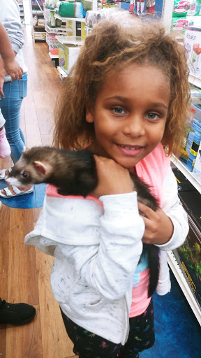 Pet Supply Store «Pet Supermarket», reviews and photos, 145 Palm Bay Rd NE, West Melbourne, FL 32904, USA