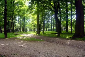 Park Cygański Las w Bielsku-Białej image