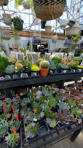 Plant Nursery «Colonial Gardens», reviews and photos, 745 Schuylkill Rd, Phoenixville, PA 19460, USA