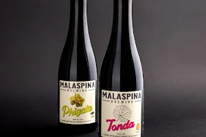 Malaspina Brewing image