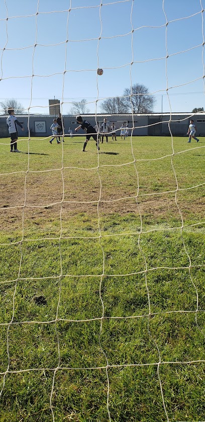 Estadio de Lutgardis Riveros