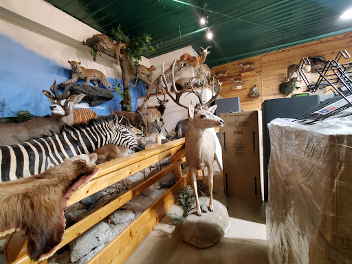 Sporting Goods Store «Midwestern Shooters Supply», reviews and photos, 191 Church St, Lomira, WI 53048, USA