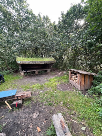Shelterplads ved Møllegårdsskoven