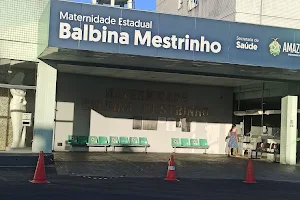 Maternidade Estadual Balbina Mestrinho image