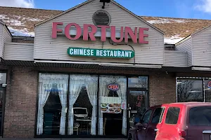 Fortune Chinese Restaurant image