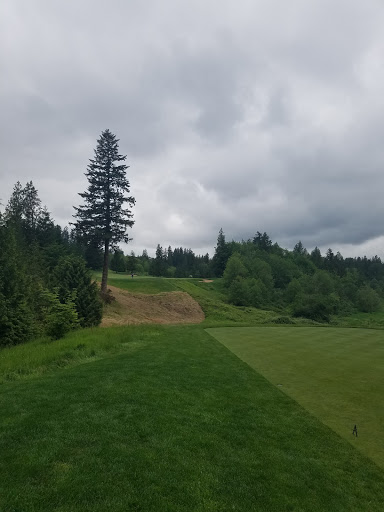 Private Golf Course «Aldarra Golf Club», reviews and photos, 29125 SE Duthie Hill Rd, Sammamish, WA 98075, USA