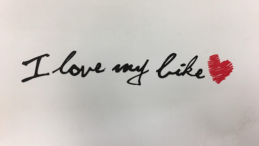 Bicycle Store «Bike Loft», reviews and photos, 717 S Bay Rd, North Syracuse, NY 13212, USA