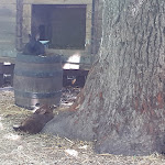 Photo n°11 de l'avis de B... fait le 31/07/2022 à 13:08 sur le  Sportgaststätte Wiesaztal - Melpomeni Tzivanopoulou à Reutlingen