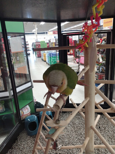 Pet Supply Store «Petco Animal Supplies», reviews and photos, 12014 SW 88th St, Miami, FL 33186, USA