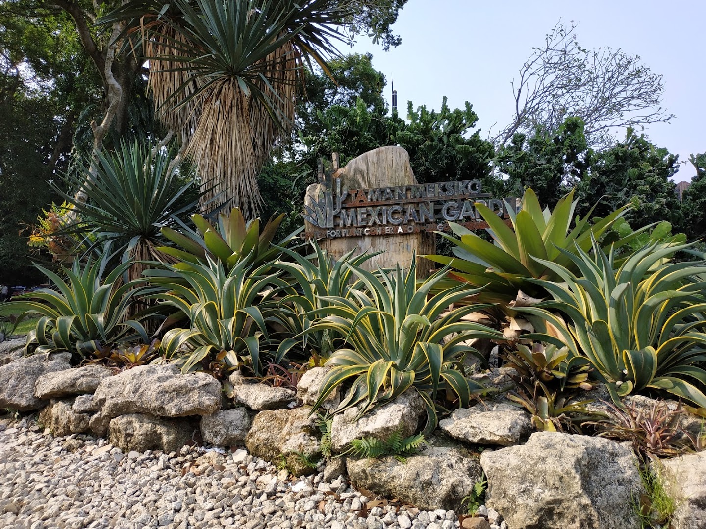 Gambar Taman Meksiko