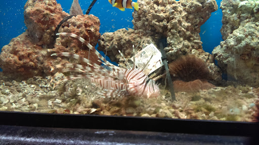 Pet Supply Store «Petco Animal Supplies», reviews and photos, 5239 Harvey St, Norton Shores, MI 49444, USA