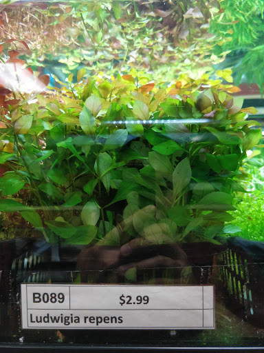 Pet Store «All Pet Center», reviews and photos, 1950 S Atlantic Blvd, Monterey Park, CA 91754, USA